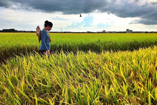 Sekinchan Paddy Field, Fishing Village & Kuala Selangor Fireflies Tour - Good To Know