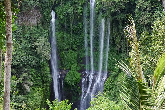 Sekumpul and Banyumala Waterfalls Hiking Tour (Private & All-Inclusive) - Inclusions