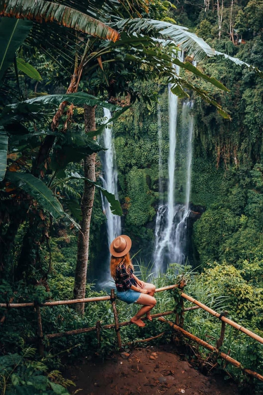 Sekumpul and Banyumala Waterfalls Private Tour - Participant Information