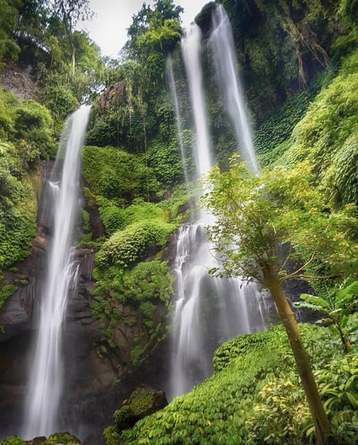 Sekumpul and Banyumala Waterfalls Private Tour - Pickup and Dropoff