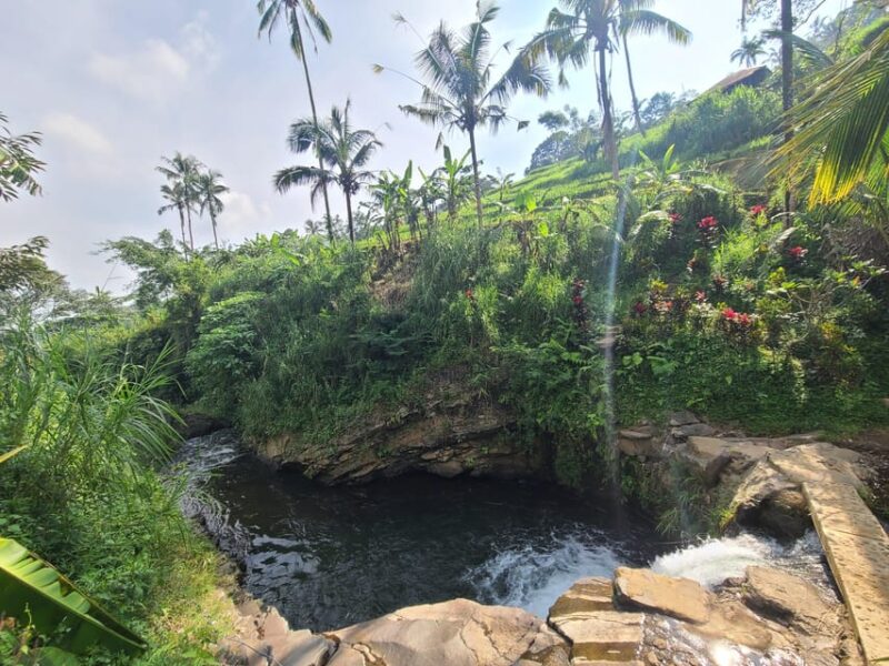 Sekumpul & Fiji Waterfall, Waterslide, Private Day Tour - Key Points