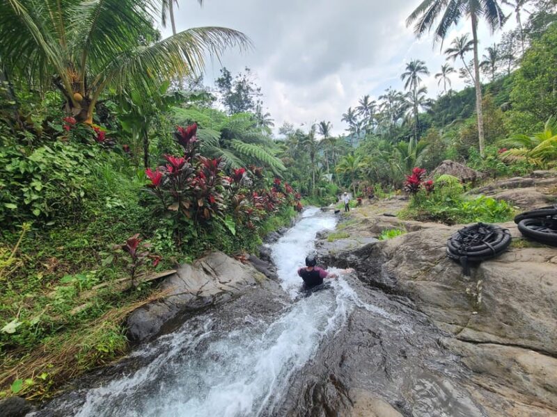 Sekumpul & Fiji Waterfall, Waterslide, Private Day Tour - Inclusions and Exclusions