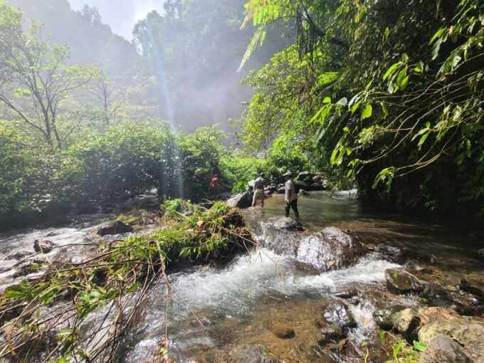 Sekumpul & Fiji Waterfall, Waterslide, Private Day Tour - Tour Highlights and Features