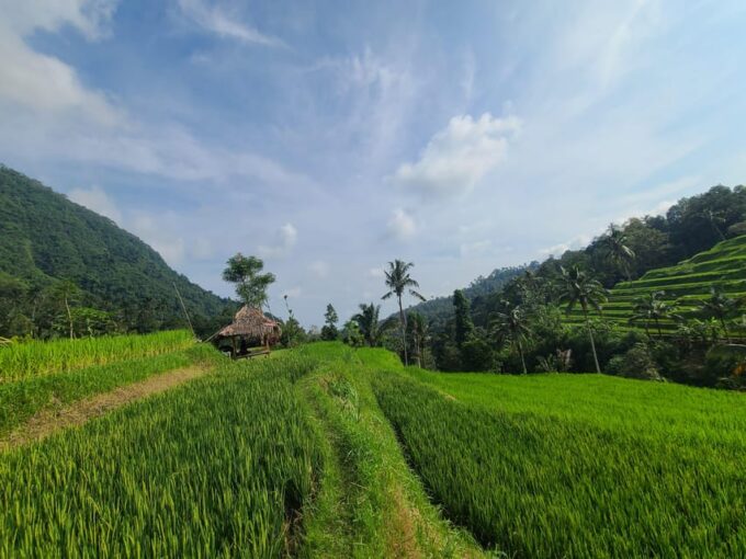 Sekumpul & Fiji Waterfall, Waterslide, Private Day Tour - Frequently Asked Questions