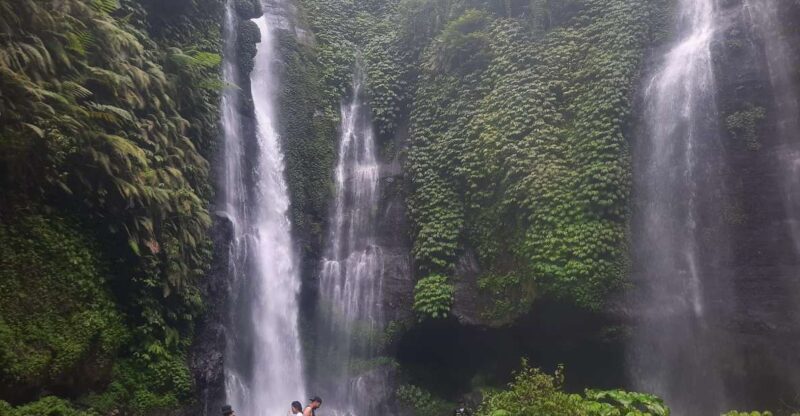 Sekumpul Jungle Trekking - Suitability and Requirements