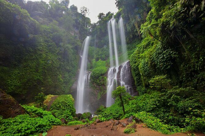 Sekumpul waterfall & aling2 waterfall with private service (including activity) - Key Points