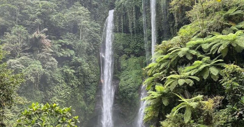 Sekumpul Waterfall Tour - Key Points