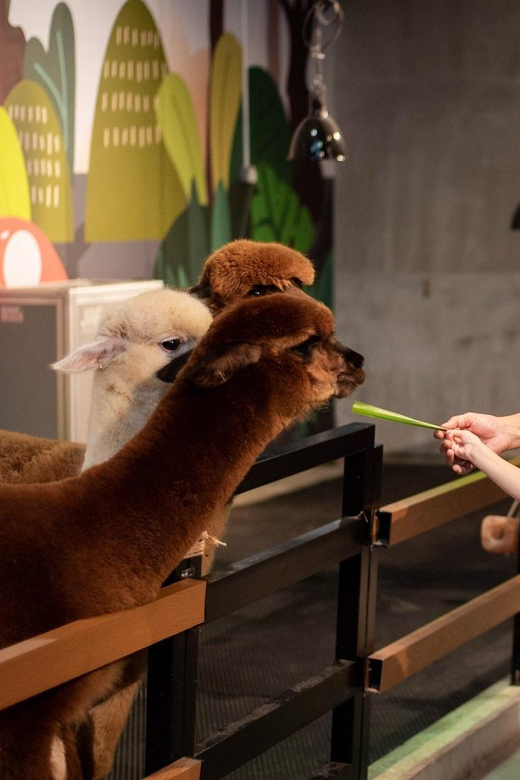 Selangor : Just Farm at Just Pets Megastore Ticket - Experience Highlights