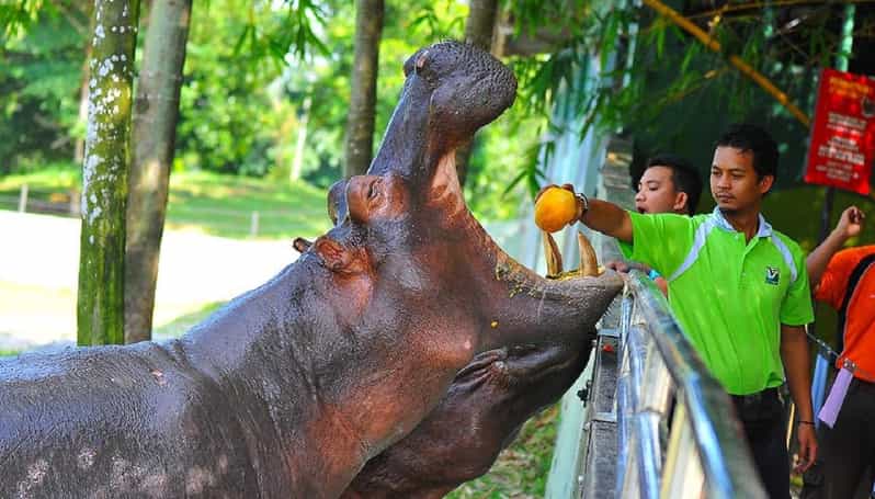 Selangor: Paya Indah Discovery Wetlands at Gamuda Cove - Key Points