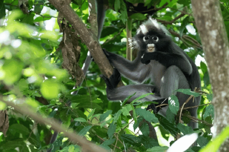 Selangor: Paya Indah Discovery Wetlands at Gamuda Cove - Visitor Information and Guidelines
