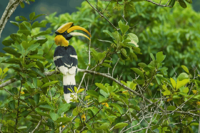 Selangor: Paya Indah Discovery Wetlands at Gamuda Cove - Frequently Asked Questions