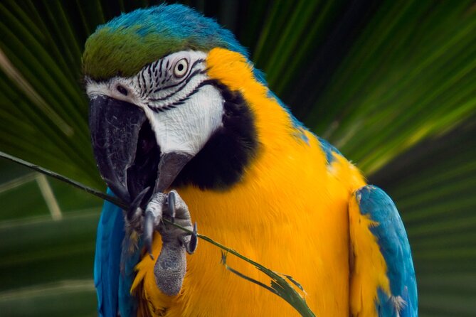 Select Pass-Rocky Top Coaster, Adventure Zoo, and Escape Game - Accessibility for All Travelers