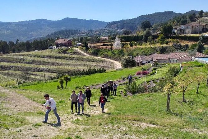 Selection Tasting | Quinta De Santa Cristina Vinho Verde - Regional Products and Pairings
