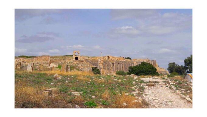 Self-Discovery: Dougga & Bulla Regia Adventure - Practical Information for Travelers