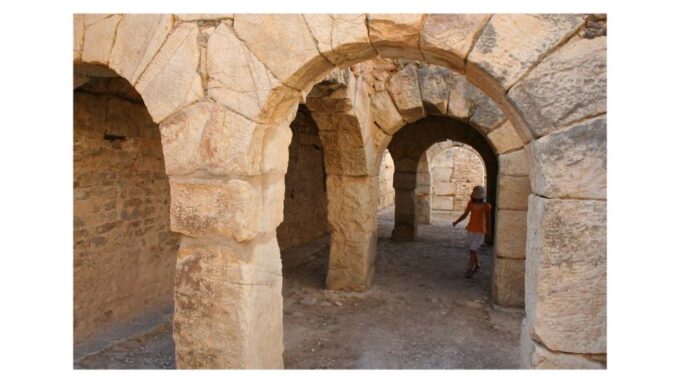 Self-Discovery: Dougga & Bulla Regia Adventure - Embracing Self-Discovery Through History