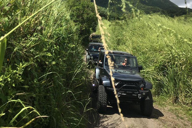 Self Drive 4x4 Off Road Jeep Wrangler & Beach Chill - Highlights of the Experience