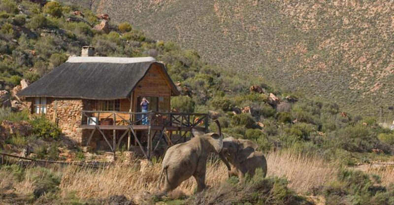 Self Drive Aquila Safari Game Reserve Sunset Game Drive - Duration and Location of the Safari