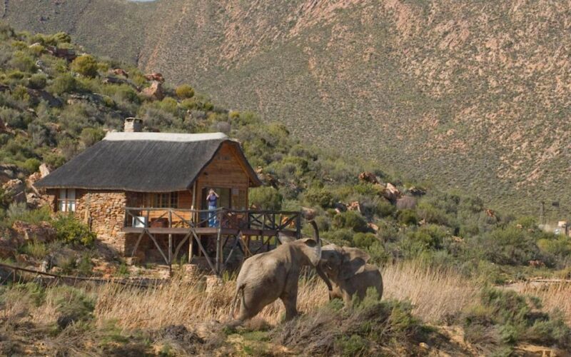 Self Drive Aquila Safari Reserve Early Morning Game Drive - Guided Quad Bike Safaris
