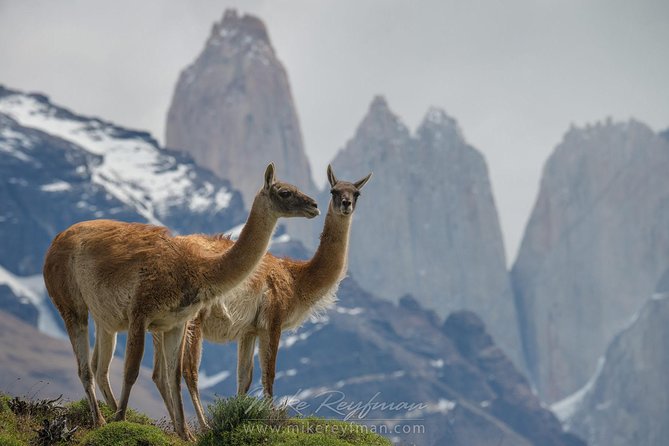 Self Drive Experience in Torres Del Paine National Park - 6 Days - Rental Car Information
