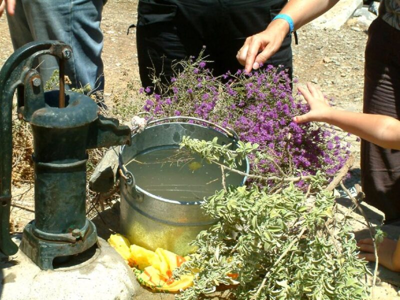 Self-Drive Jeeptour to Thripti Mountains and Small Villages - Tour Inclusions