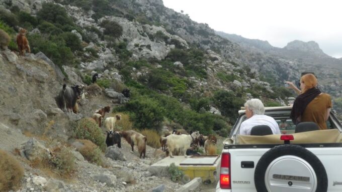 Self-Drive Jeeptour to Thripti Mountains and Small Villages - Authentic Village Experiences