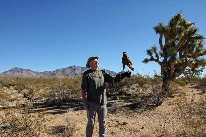 Self Drive Raptor Experience (1 Hour) in Joshua Tree Forest - Getting to the Meeting Point