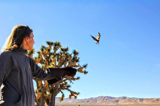Self Drive Raptor Experience (1 Hour) in Joshua Tree Forest - Key Points