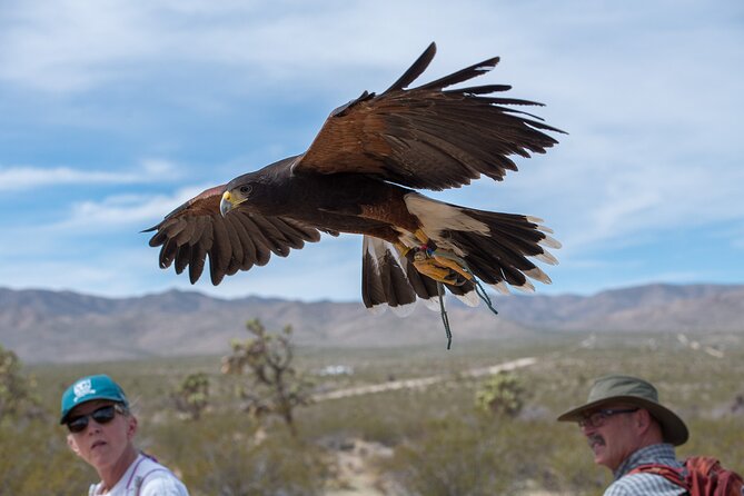 Self Drive Raptor Experience (1 Hour) in Joshua Tree Forest - Getting to the Meeting Point