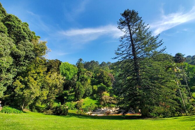 Self-Drive Tour - Quinta Da Regaleira & Monserrate - Operator Information