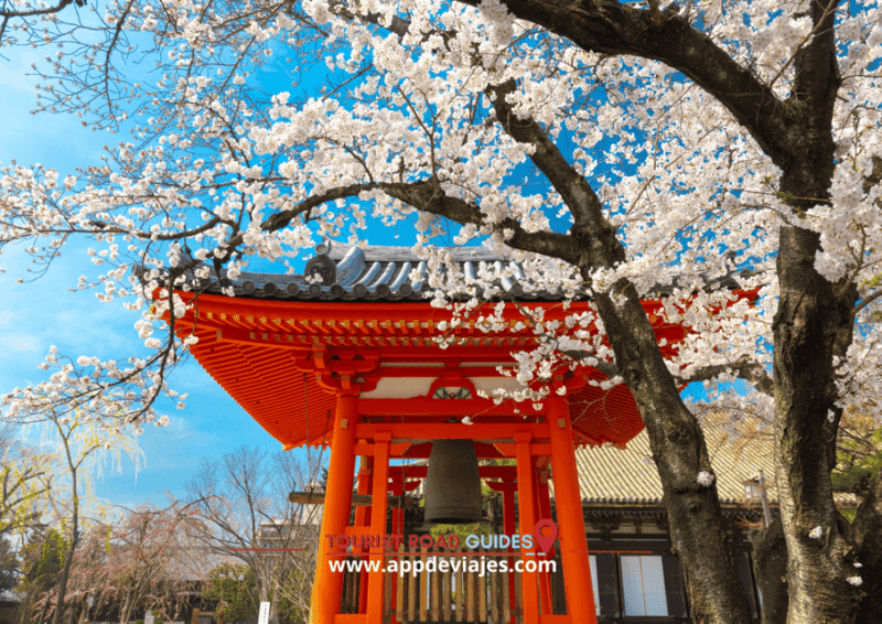 Self-Drived Audio Guide Japan Complete - Tour Inclusions