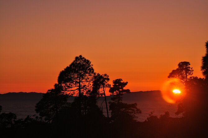 Self Driving Sunset Tour With Dinner and Stargazing in Tenerife - Operational Details