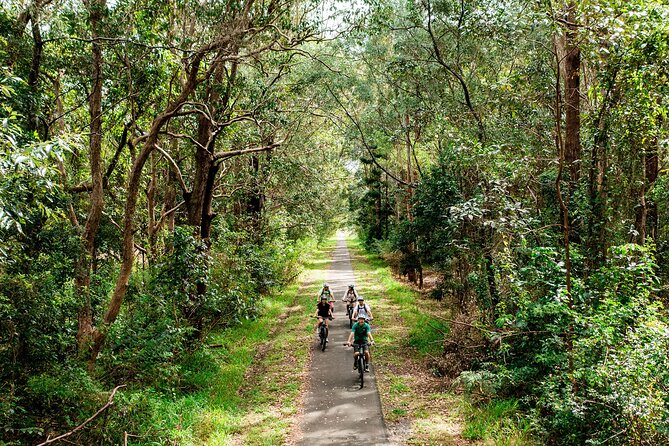 Self Guide E Bike Tour - Husk Distillery, Rainforest & Rail Trail - Meeting and End Points