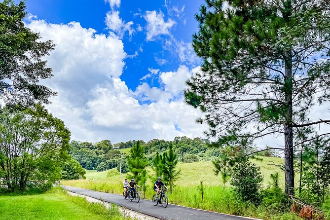 Self Guide E Bike Tour - Husk Distillery, Rainforest & Rail Trail - Directions and Contact Information