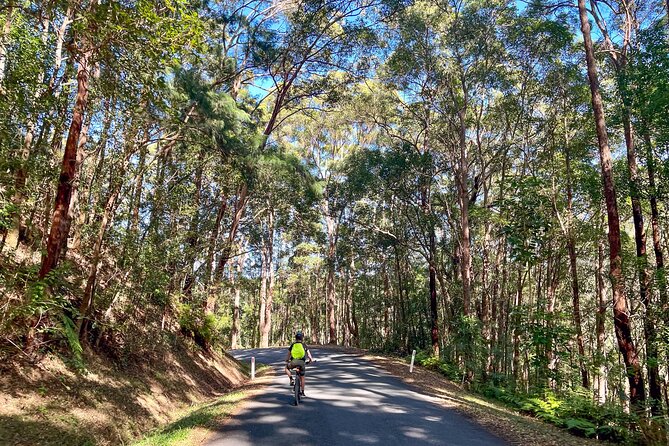 Self Guide E Bike Tour - Husk Distillery, Rainforest & Rail Trail - Highlights of the Experience