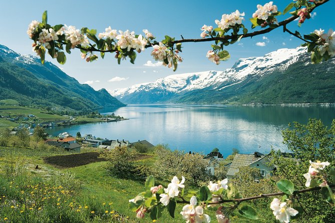 Self-Guided 22-Hour Round Trip From Oslo To Sognefjord With Flåm Railway - Booking and Confirmation