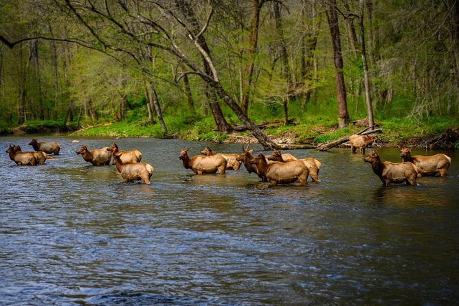 Self-Guided Audio Driving Tour in Blue Ridge Parkway - Understanding Admission Fees and Costs