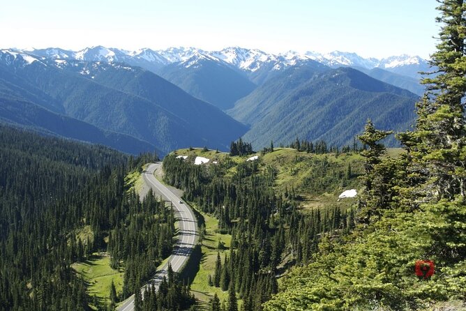 Self-Guided Audio Driving Tour in Olympic National Park - Highlights and Recommended Stops