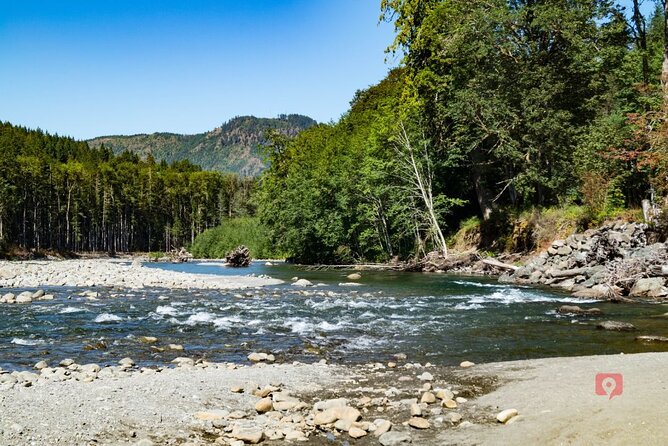 Self-Guided Audio Driving Tour in Olympic National Park - Traveler Experiences and Feedback