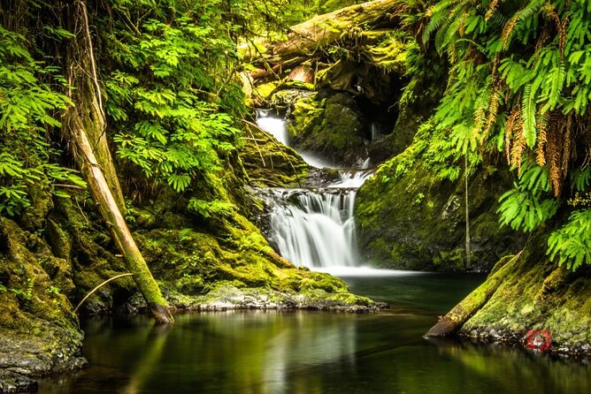 Self-Guided Audio Driving Tour in Olympic National Park - Planning Your Visit and Fees