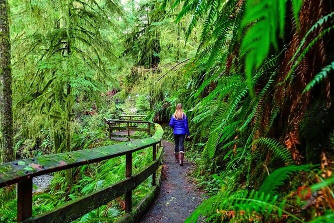 Self-Guided Audio Driving Tour in Olympic National Park - Frequently Asked Questions