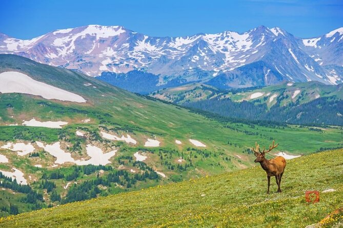 Self-Guided Audio Driving Tour in Rocky Mountain National Park - Pricing and Booking Information