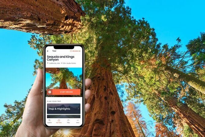 Self-Guided Audio Driving Tour in Sequoia and Kings Canyon - Introduction: Why a Self-Guided Tour Might Be Your Best Choice