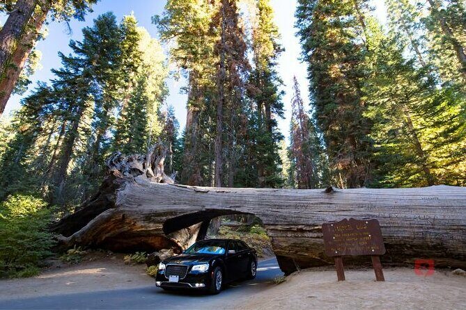 Self-Guided Audio Driving Tour in Sequoia and Kings Canyon - Who Will Love This Tour