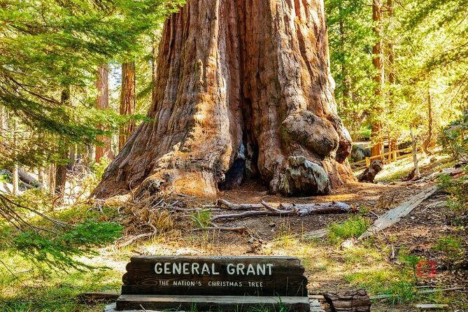 Self-Guided Audio Driving Tour in Sequoia and Kings Canyon - FAQ