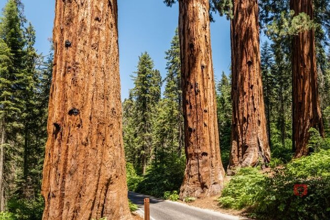 Self-Guided Audio Driving Tour in Sequoia and Kings Canyon - User Experience and Feedback