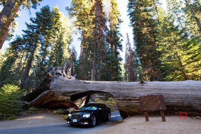 Self-Guided Audio Driving Tour in Sequoia and Kings Canyon - Customer Support and Booking