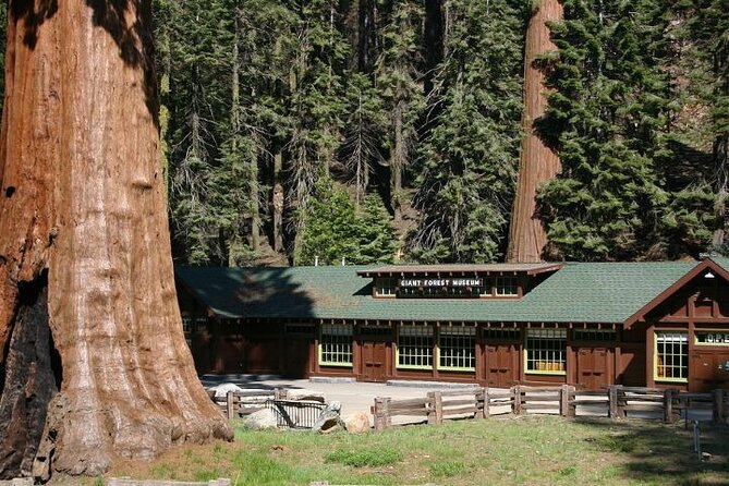 Self-Guided Audio Driving Tour in Sequoia and Kings Canyon - Exploring Sequoia National Park