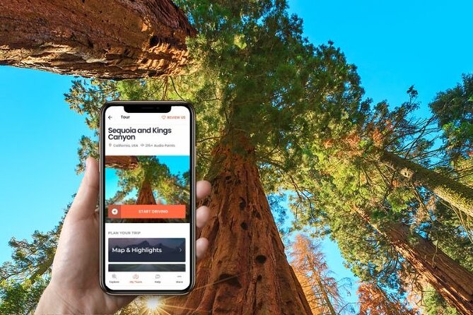 Self-Guided Audio Driving Tour in Sequoia and Kings Canyon - Discovering Kings Canyon National Park