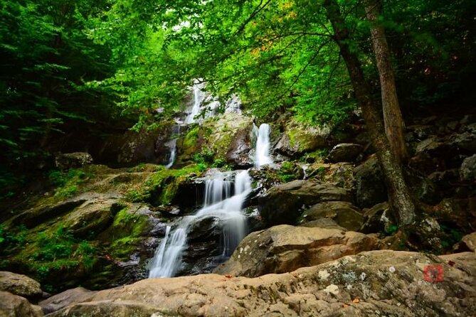 Self-Guided Audio Driving Tour in Shenandoah National Park - Preparing for the Tour
