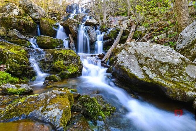 Self-Guided Audio Driving Tour in Shenandoah National Park - Enhancing Your Experience
